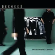 Deja vu - Bee gees