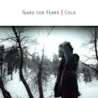 Deja vu & the sins of science - Tears for fears