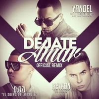 Dejate Amar (Remix) - Yandel