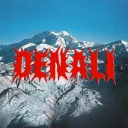 Denali - Portugal. The Man