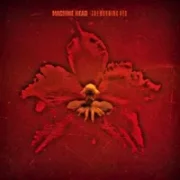 Desire to fire - Machine head