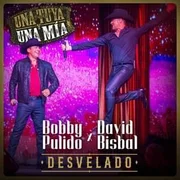 Desvelado (En Vivo) - David Bisbal