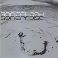 Did you feel the mountains tremble? - Sonicflood