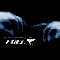 Die like this - Fuel