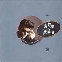 Digging your scene - The blow monkeys