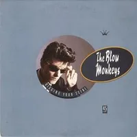 Digging your scene - The blow monkeys