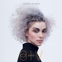 Digital Witness - St. Vincent