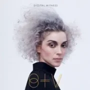 Digital Witness - St. Vincent