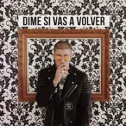 Dime Si Vas a Volver - Bad Bunny