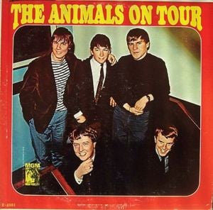 Dimples - The animals