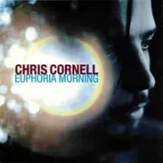 Disappearing one - Chris cornell