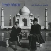 Disappointed man - Freedy johnston