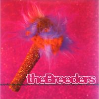 Divine hammer - The breeders