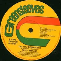 Do you remember - Eek-a-mouse