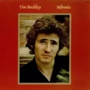 Dolphins - Tim buckley