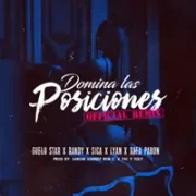 Domina Las Posiciones (Remix) - Guelo Star