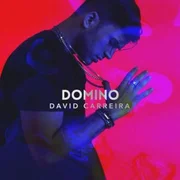 Domino - David Carreira