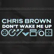 Don't Wake Me Up - Chris Brown