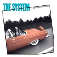 Dont disturb this groove - The system