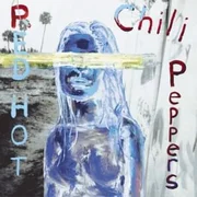 Don’t Forget Me - Red Hot Chili Peppers