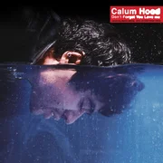 Don’t Forget You Love Me - Calum Hood