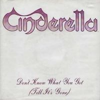 Dont know what youve got (till its gone) - Cinderella