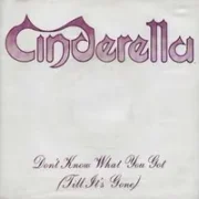 Dont know what youve got (till its gone) - Cinderella