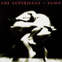 Down again - The superjesus