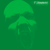 Down another day - Limp bizkit