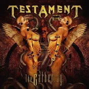 Down for Life - Testament