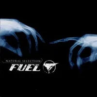 Down inside of you - Fuel