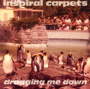 Dragging me down - Inspiral carpets
