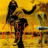 Dragonfly - Ziggy marley