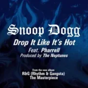 Drop it like it's hot - Snoop dogg