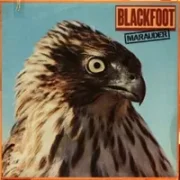 Dry county - Blackfoot