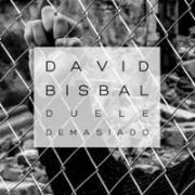 Duele Demasiado - David Bisbal