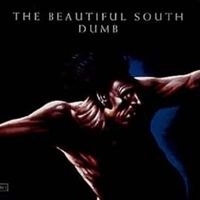 Dumb - The beautiful south