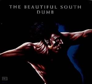 Dumb - The beautiful south
