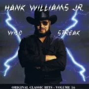 Early in the morning and late at night - Hank williams jr.