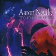 Earth angel - Aaron neville