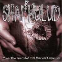 Eating bullets of acceptance - Shai hulud