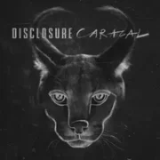 Echoes - Disclosure