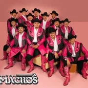 El mandilon - Elias Medina