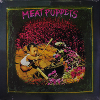 Electromud - Meat puppets