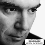 Empire - David byrne