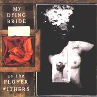 Erotic literature - My dying bride