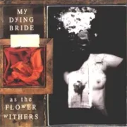 Erotic literature - My dying bride