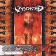 Eructations of carnal artistry - Aborted