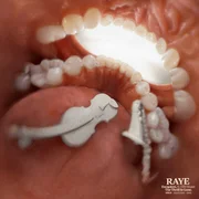 Escapism. ft. 070 Shake - Raye