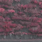 Even In Arcadia - Sleep Token